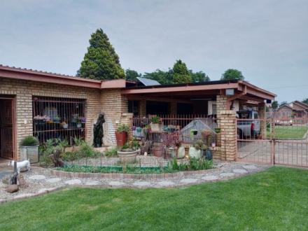 House for a big family